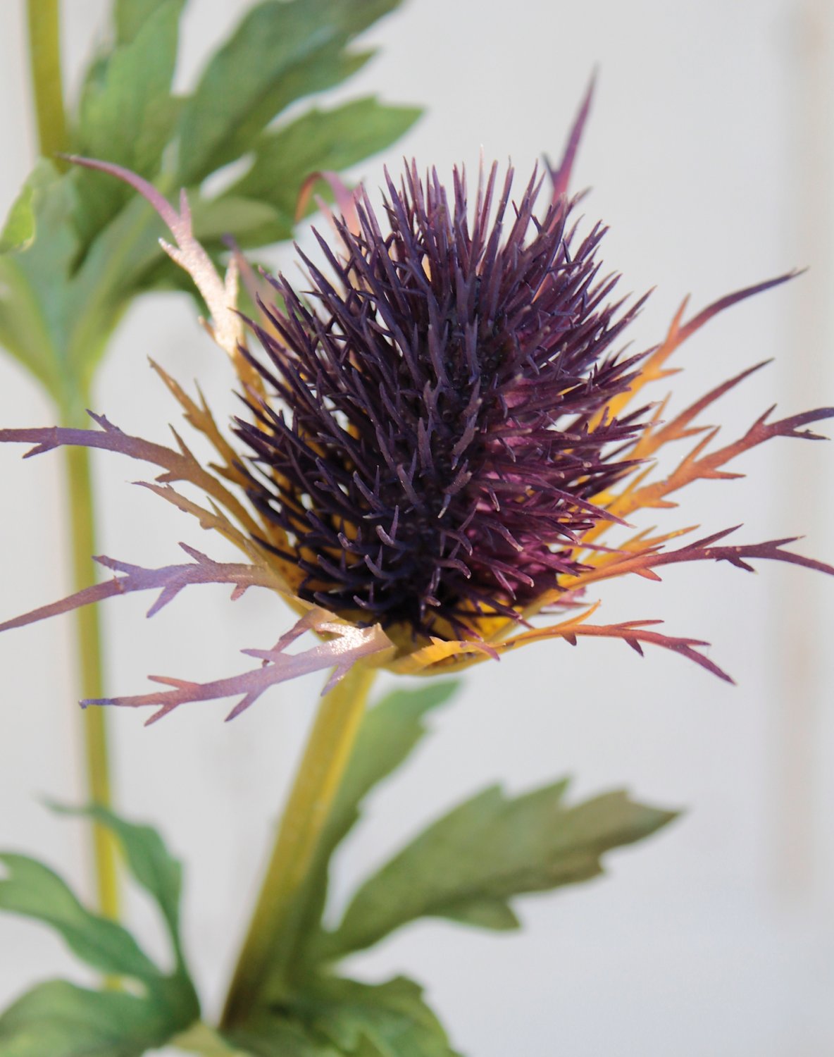 Faux thistle, 3 flowers 83 cm, light violet