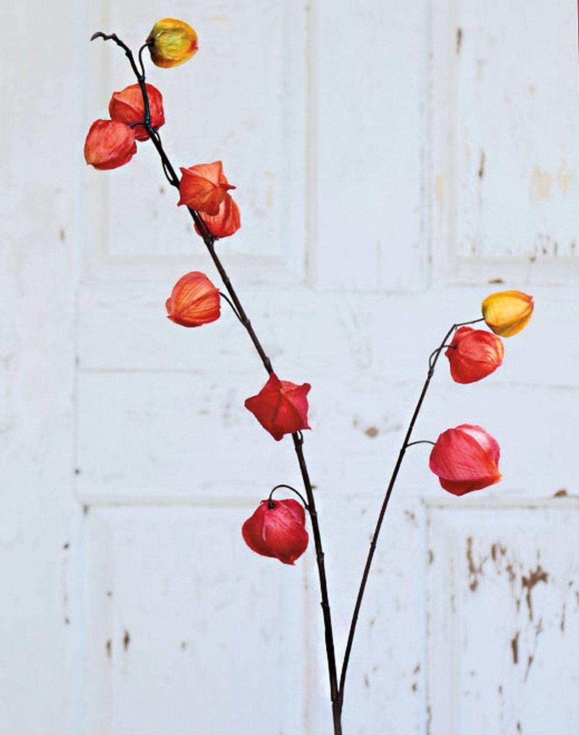 Fake physalis, 11 fruits, 95 cm, orange