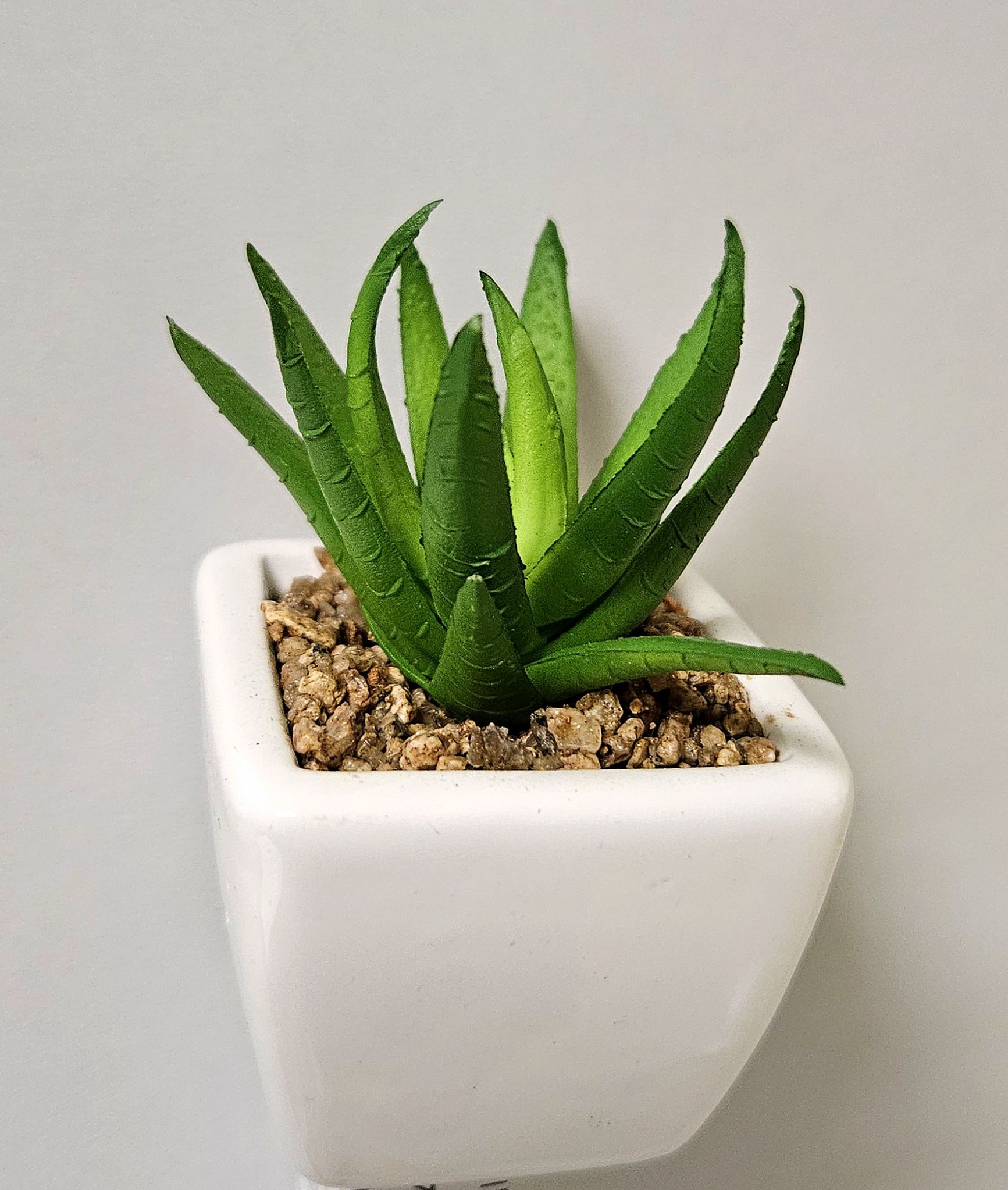 Artificial mini agave in ceramic pot, 8 cm, green