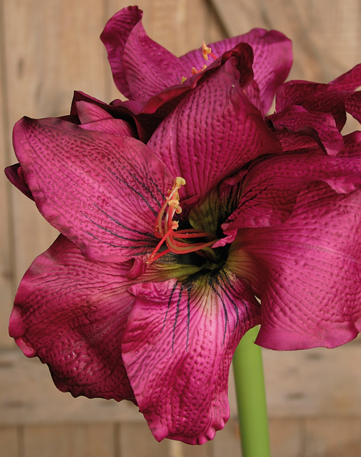 Künstliche Amaryllis, 75 cm, trendy purple