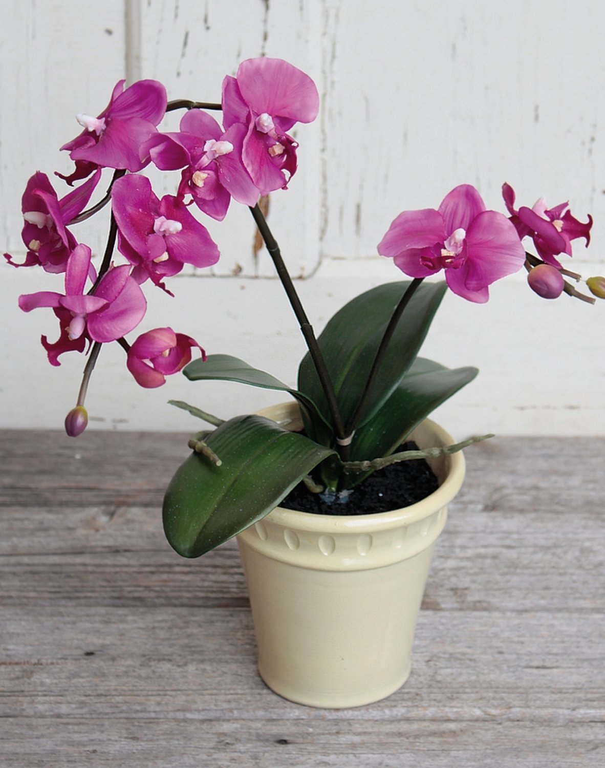 Künstliche Orchidee Phalaenopsis, getopft, 60 cm, Real Touch, cerise