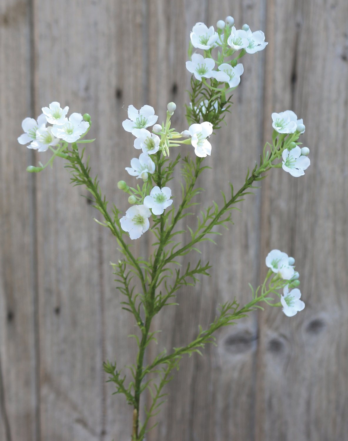 Fiore di cera artificiale, 65 cm, bianco-crema