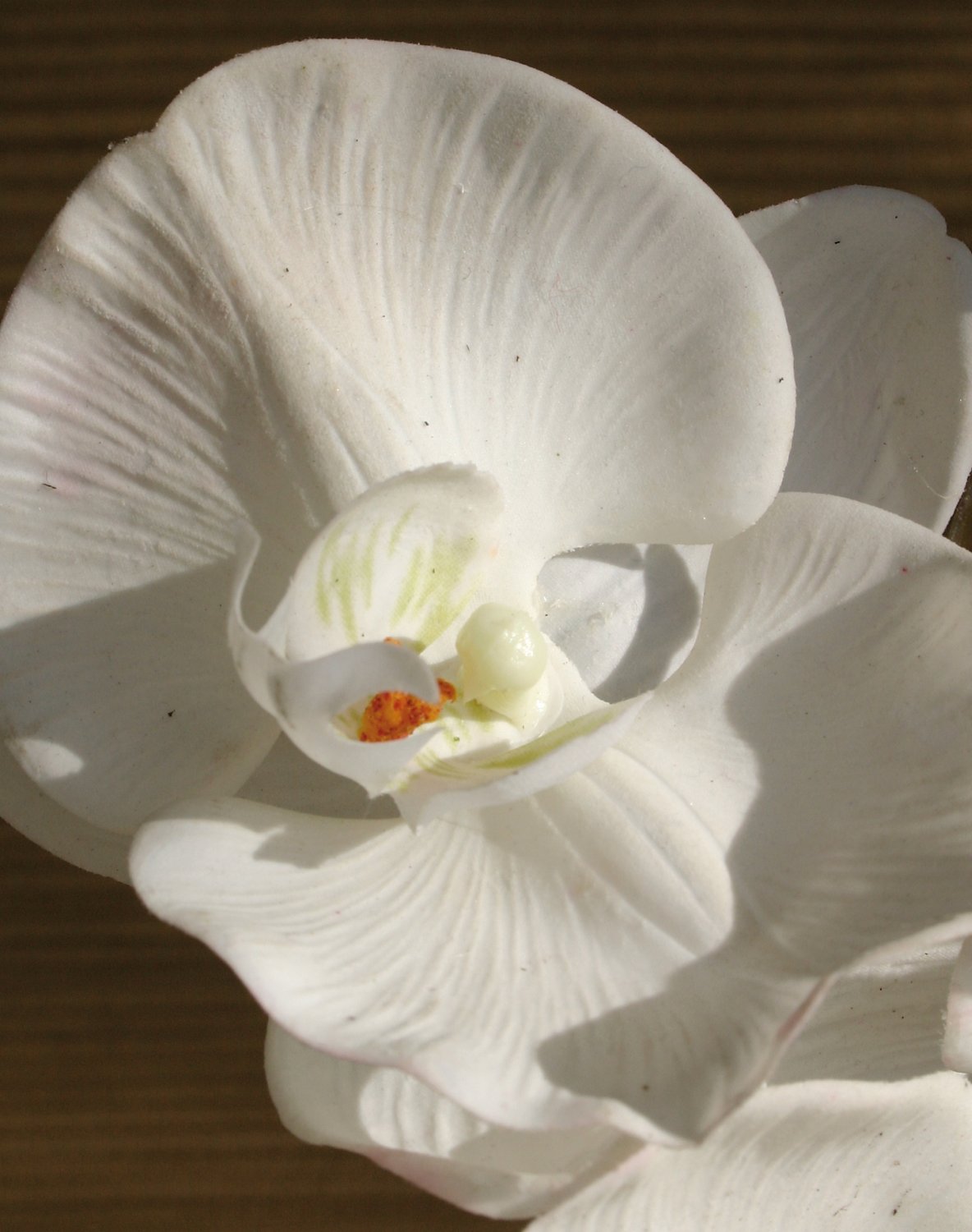 Orchidea Phalaenopsis artificiale, 103 cm, Real Touch, bianco puro