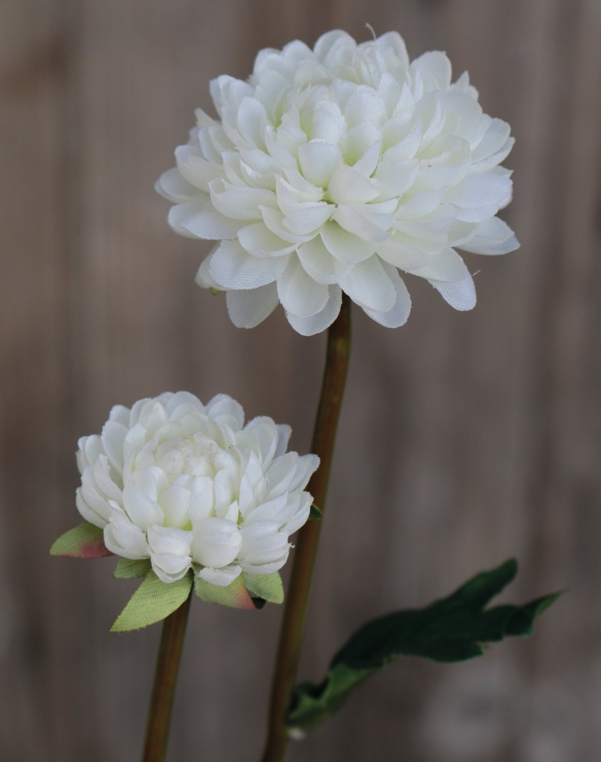 Faux Chrysanthemum, 5-flowers, 68 cm, beige-white