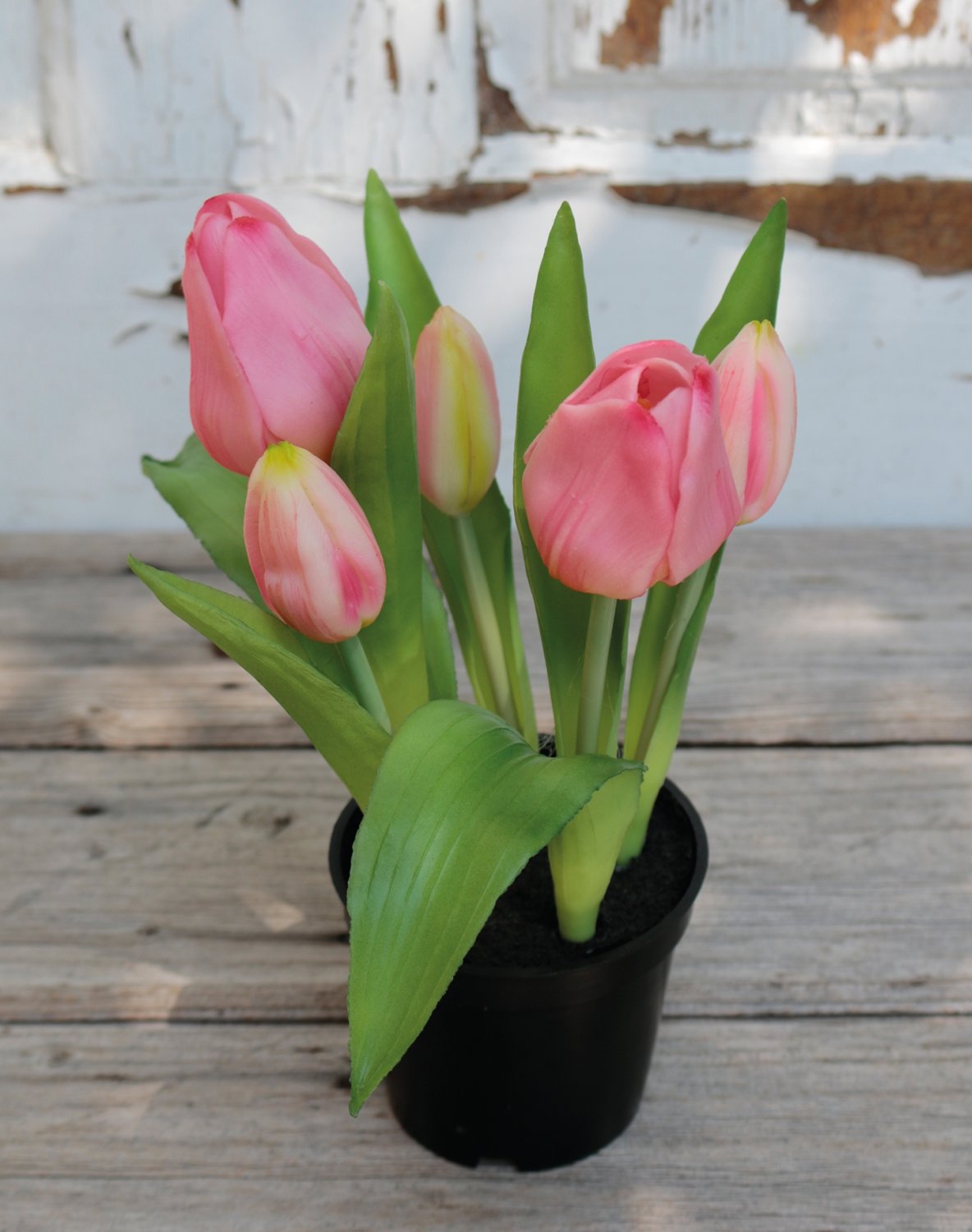 Künstliche Tulpen, getopft, 5-fach, 25 cm, Real Touch, rosa-grün