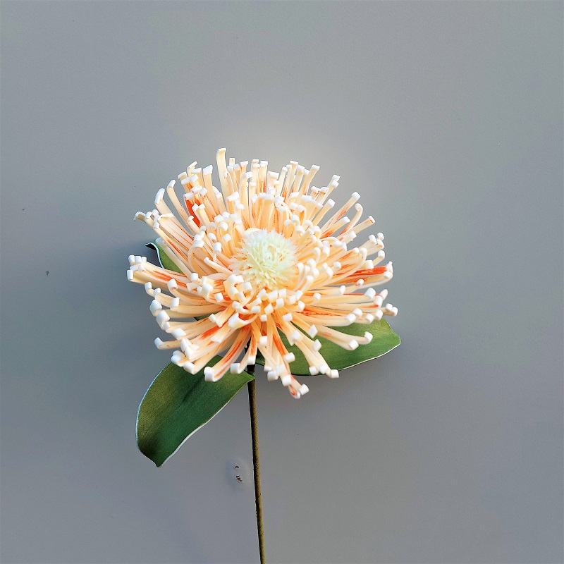 Deko Soft flower 'Nadelkissenprotea', 73 cm, creme-aprikose