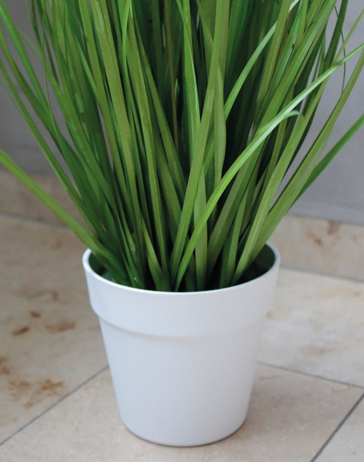 Artificial tuft of grass 'Chinese fountain grass', potted, 76 cm, green