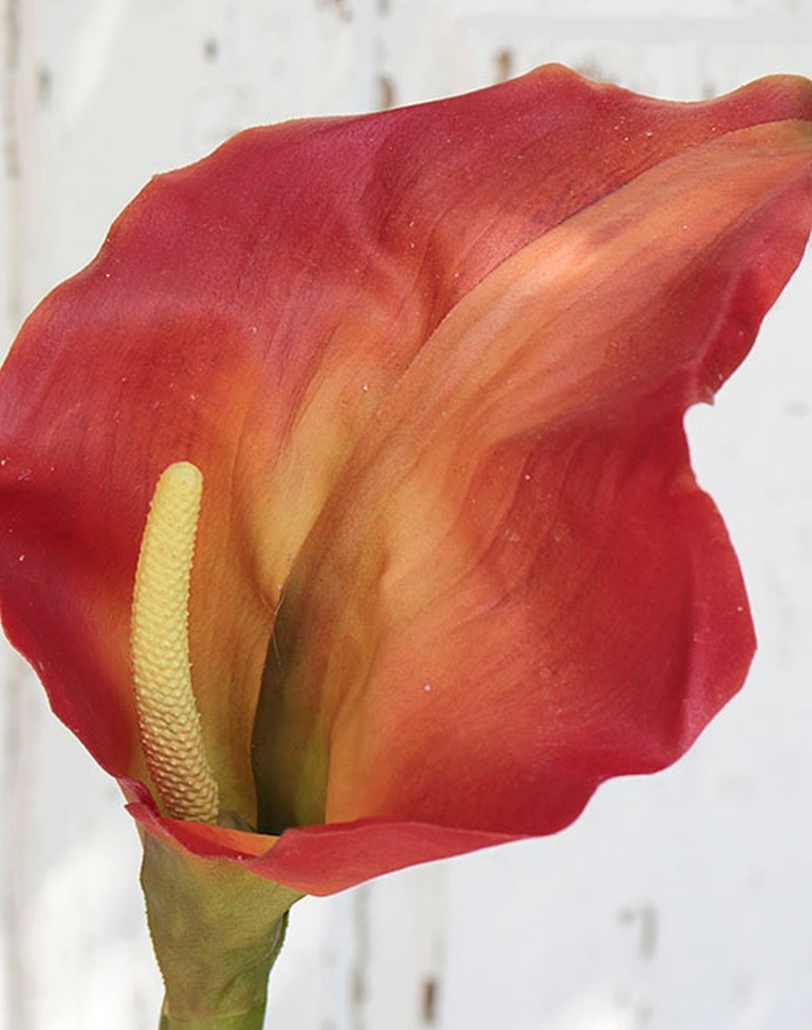 Calla artificiale, 98 cm, Real Touch, arancione