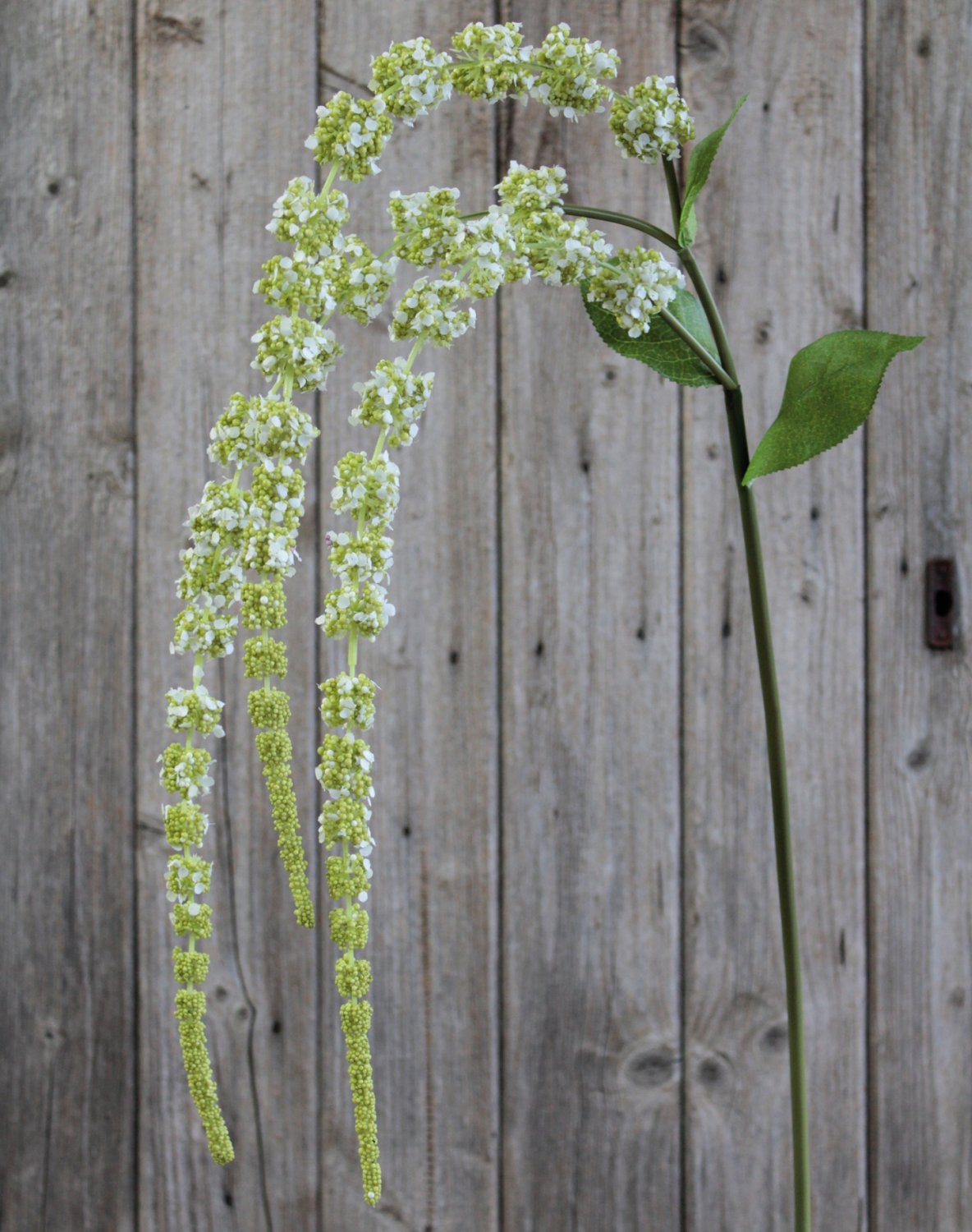 Ramo di amaranto artificiale, 70 cm (105 cm), verde-bianco