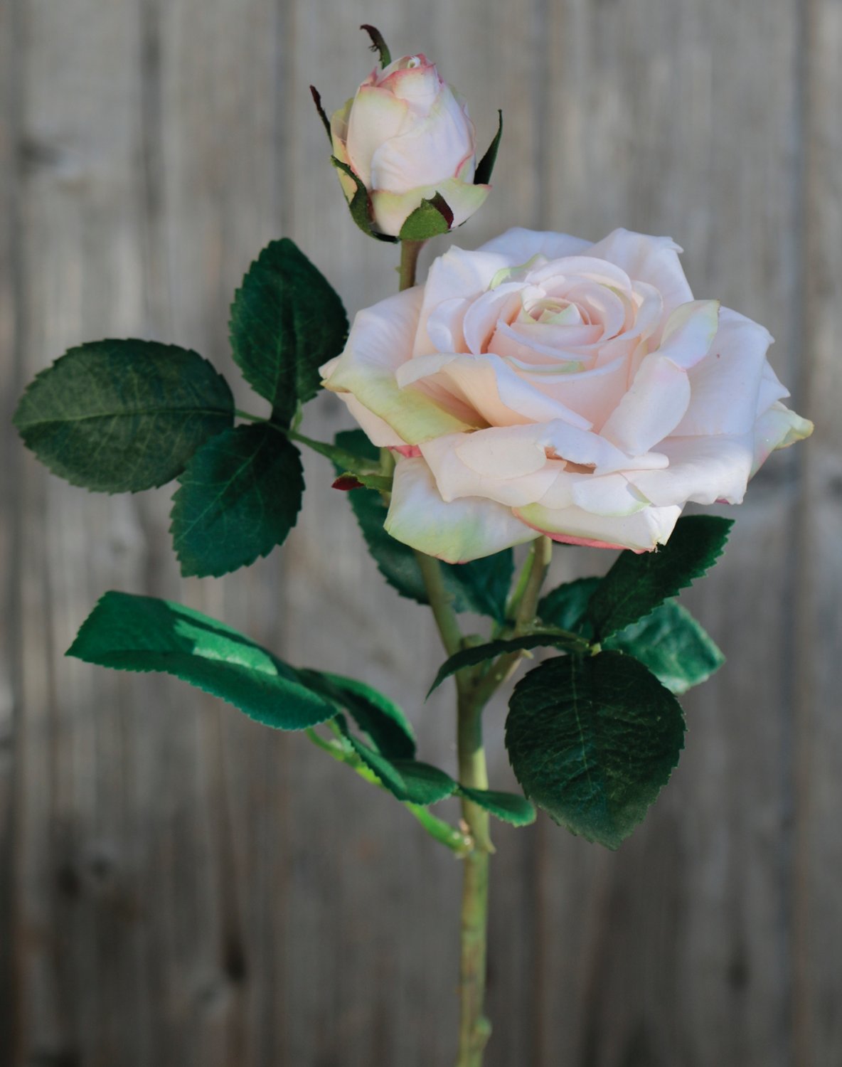 Artificial rose, 1 flower, 1 bud, 37 cm, real touch soft, antique-light pink