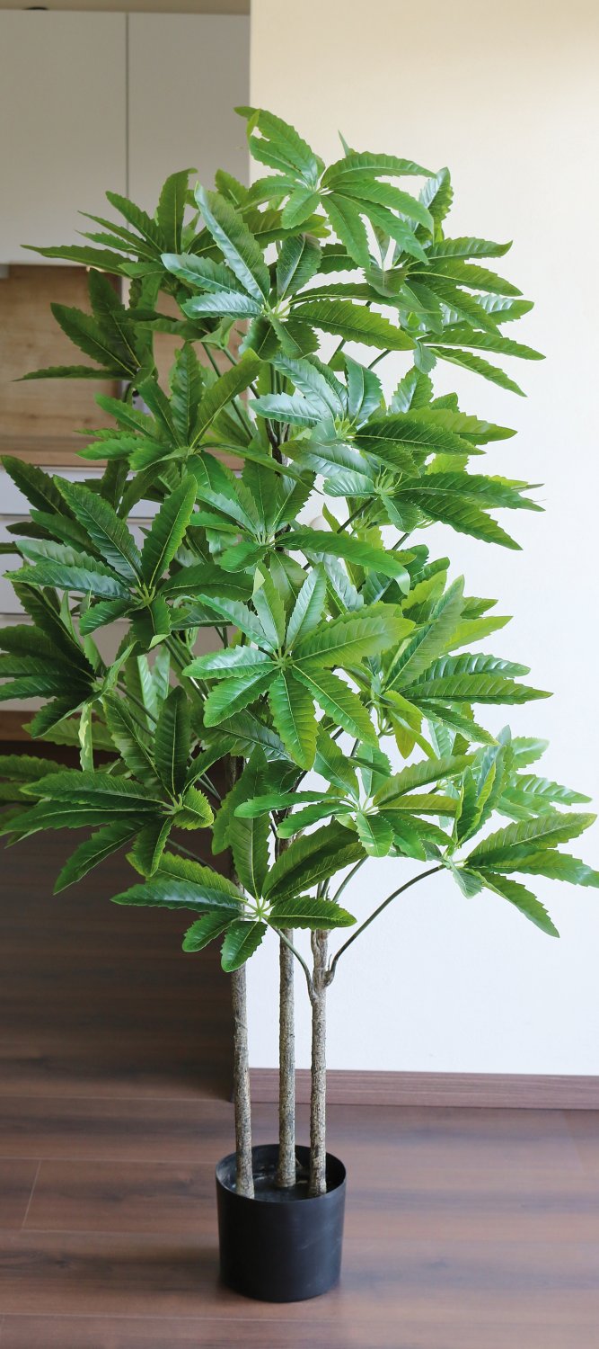 Künstliche Schefflera, getopft, 160 cm, grün