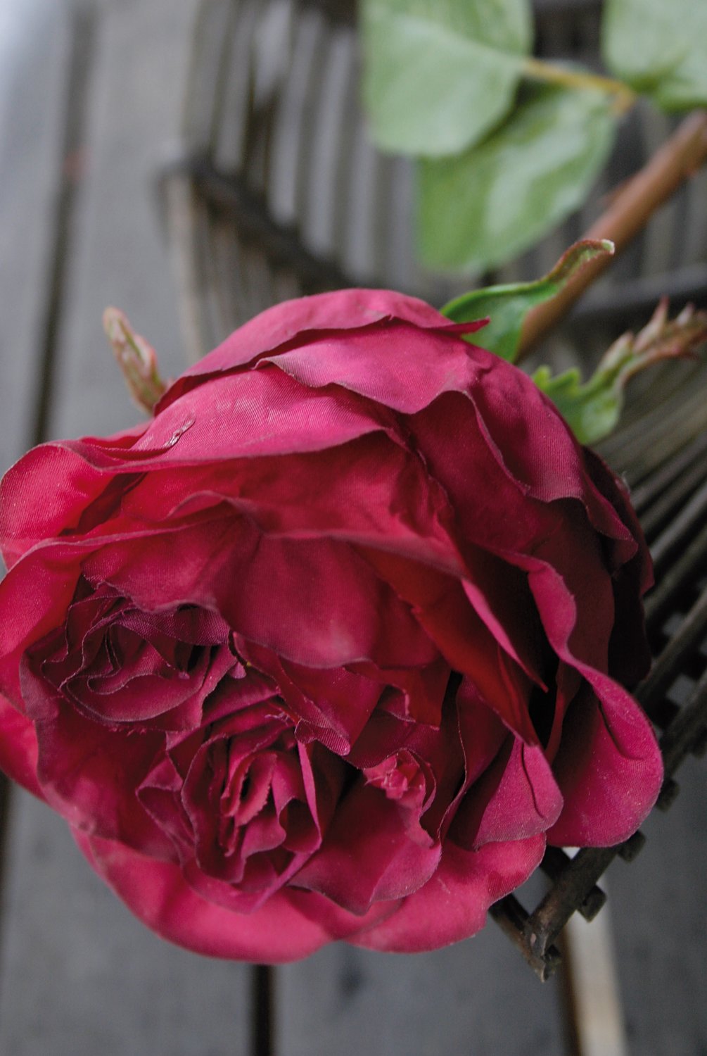 Rosa artificiale Duchesse, 52 cm, rosso scuro-antico