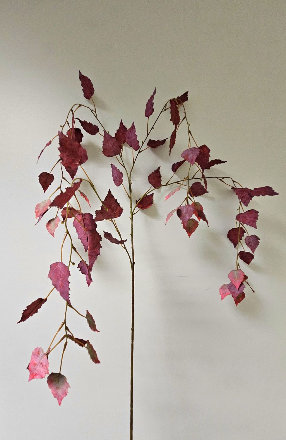 Dekohänger Birkenzweig, 142 cm, burgunderrot