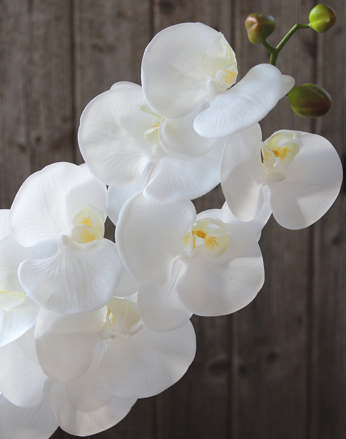 Faux orchid Phalaenopsis, 98 cm, real touch soft, white