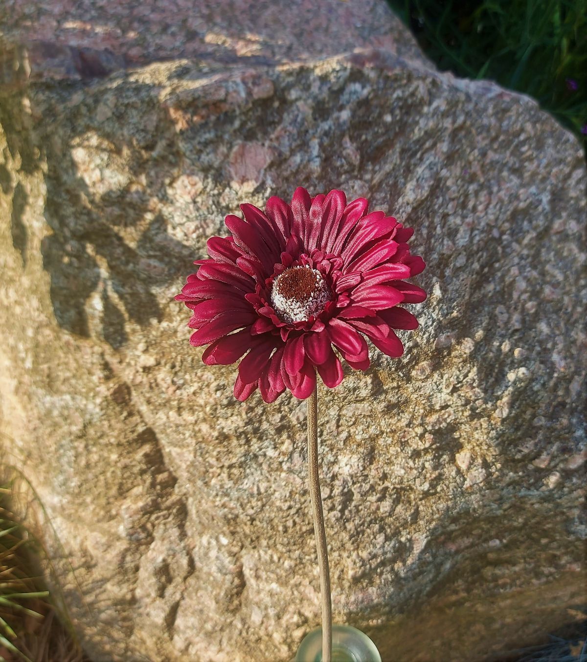 Unechte Gerbera "Vintage", 53 cm, burgunderrot