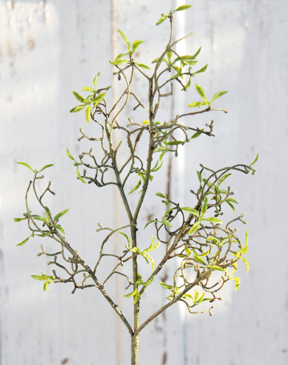 Artificial decorative twig with delicate leaves, 72 cm, green