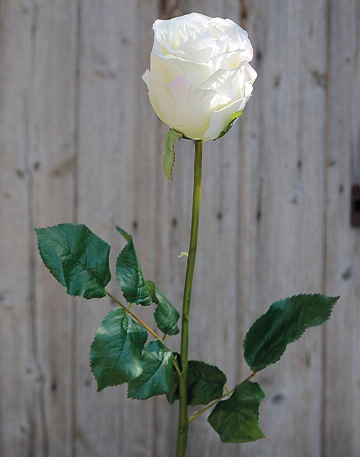 Rosa artificiale Duchesse, 85 cm, bianco-rosa