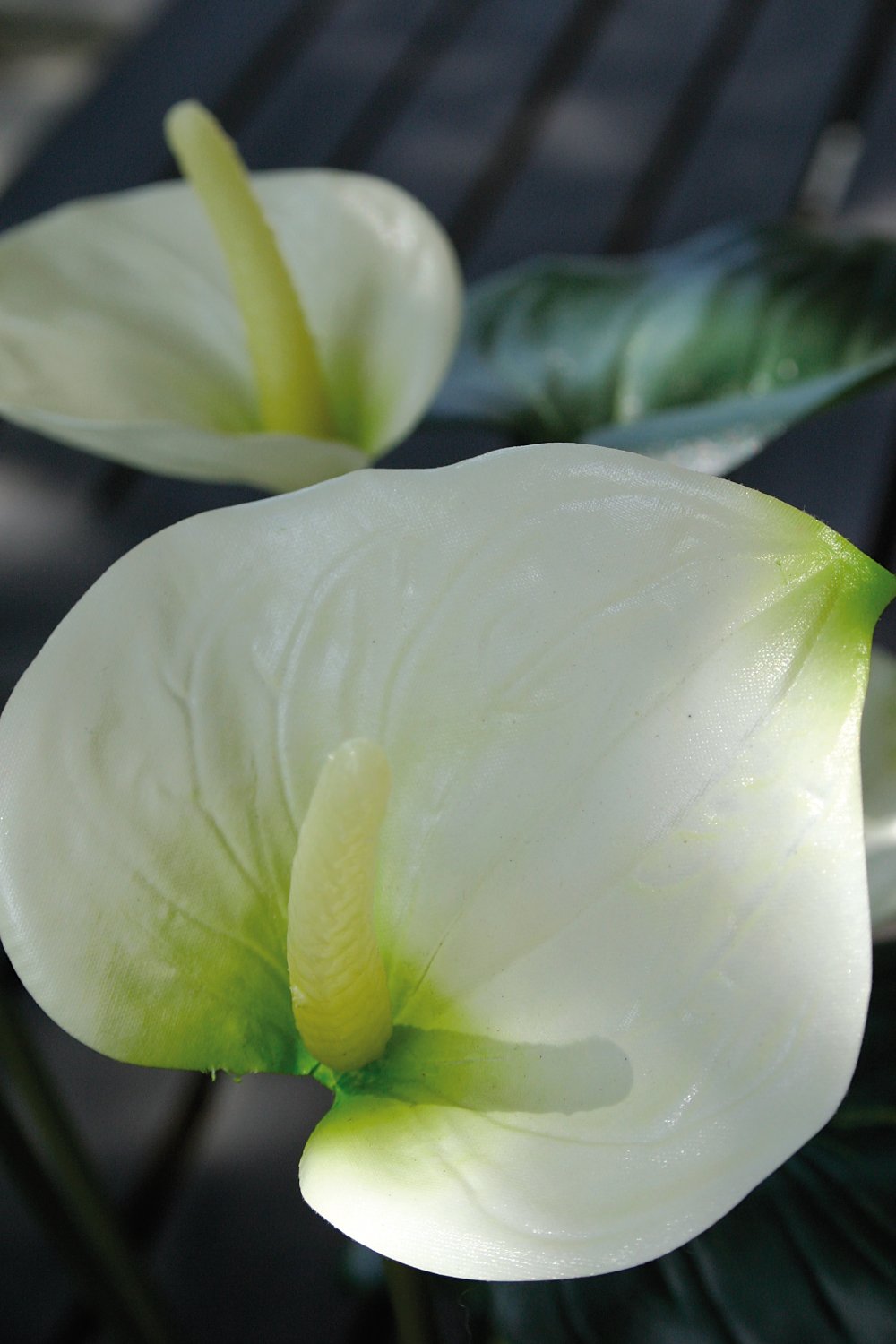 Künstliche Anthurium, getopft, 39 cm, weiß