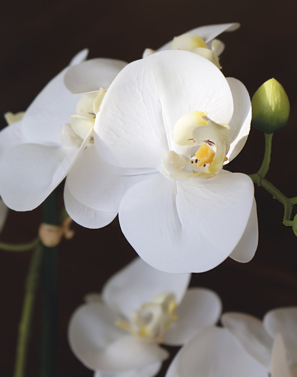 Orchidea Phalaenopsis artificiale in ciotola, 29 cm, Real Touch Soft, bianco-crema