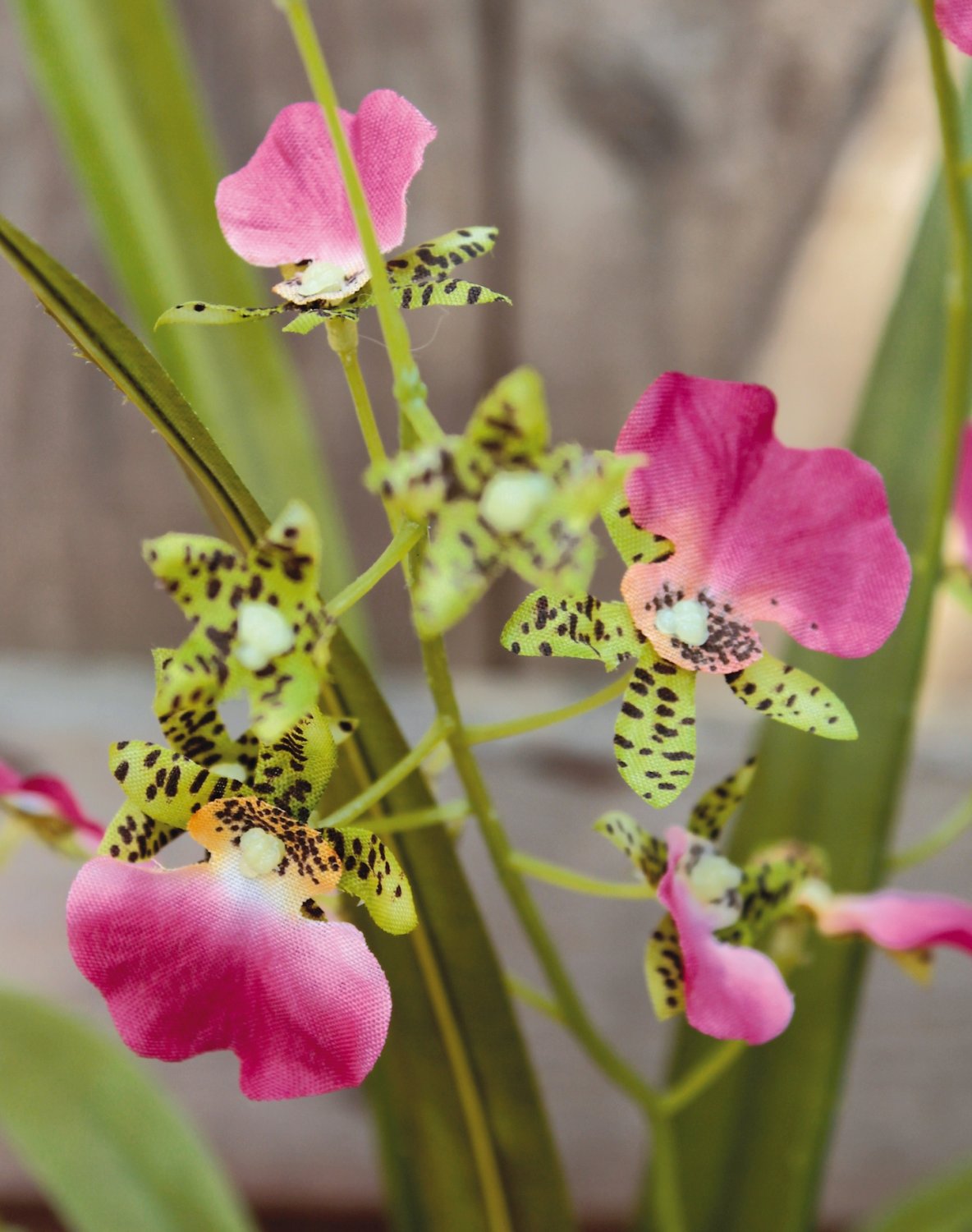 getopft, Künstliche rosa-grün Orchidee Oncidium, 50cm,