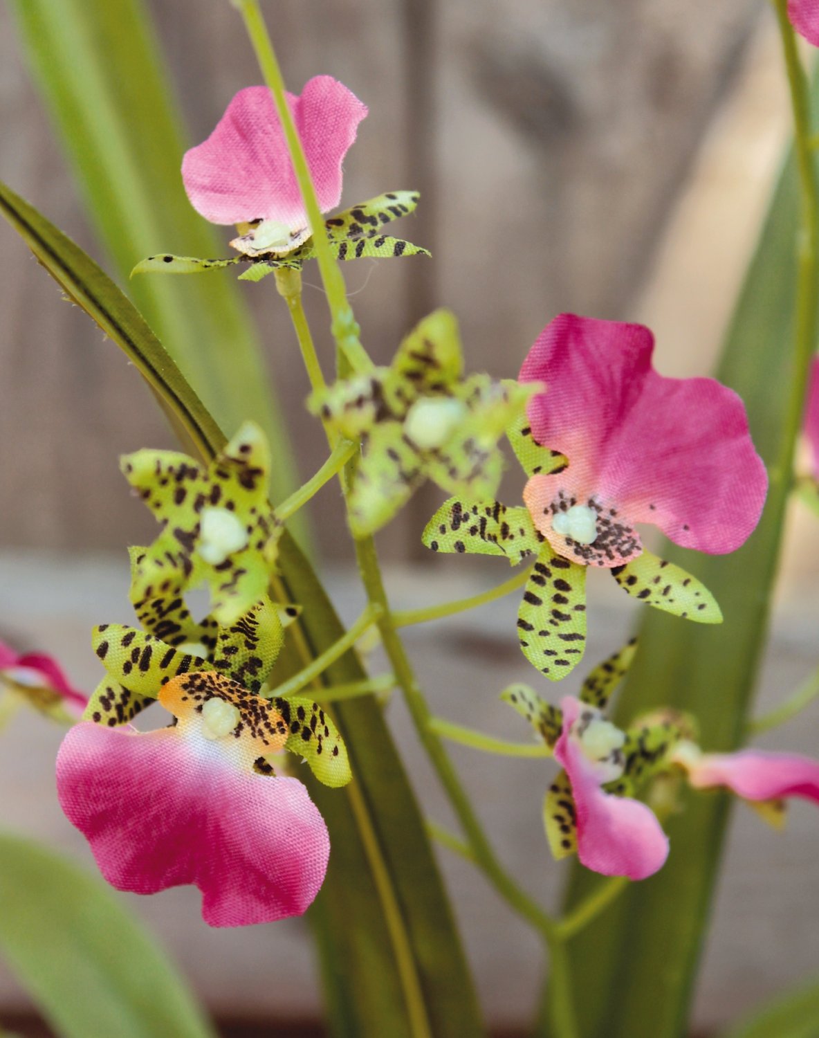 Synthetic orchid oncidium, potted, 50cm, pink-green