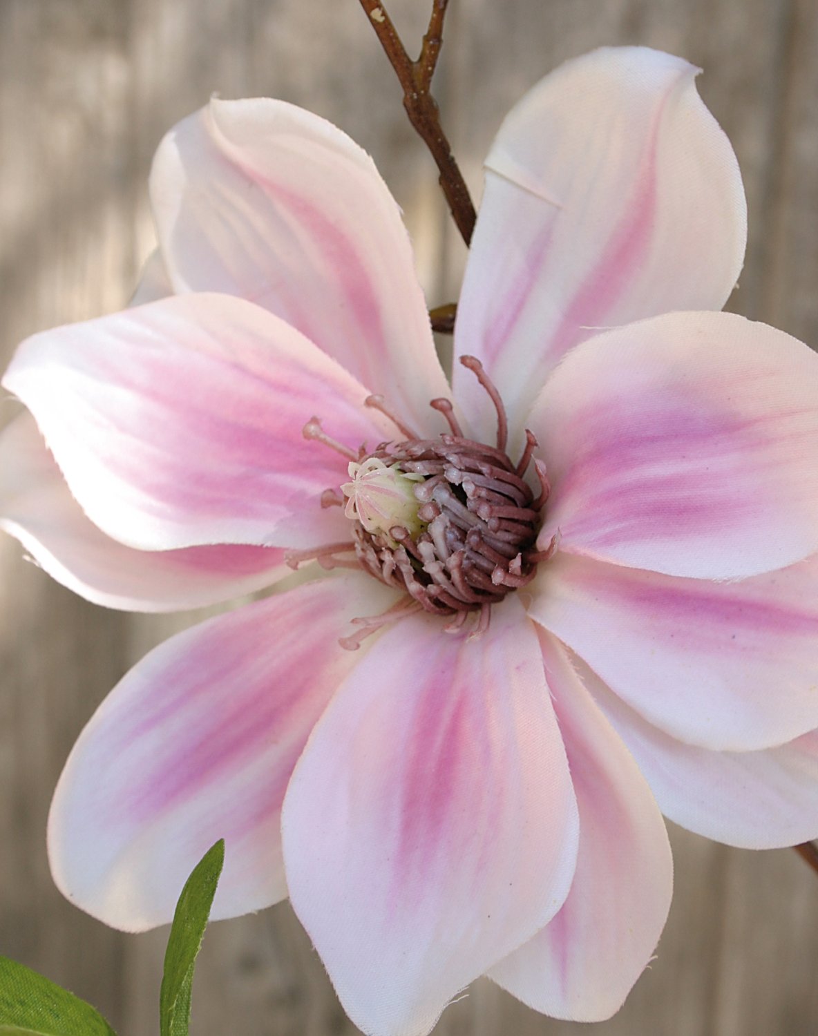 Künstlicher Magnolien Blütenzweig, 80 cm, pink