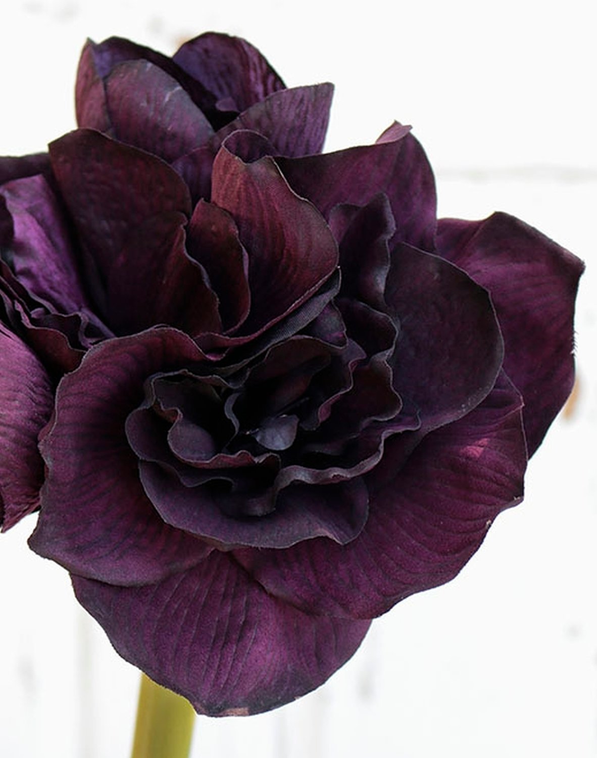 Künstliche Amaryllis, 4-fach, 80 cm, trendy purple