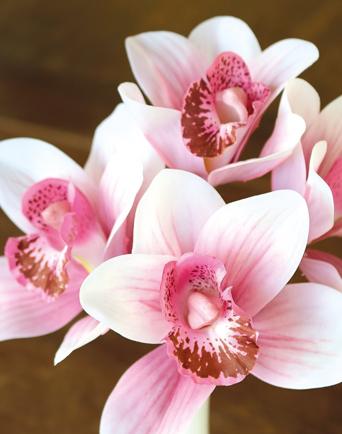 Silk orchid cymbidium in vase, 27 cm, real touch, pink-white