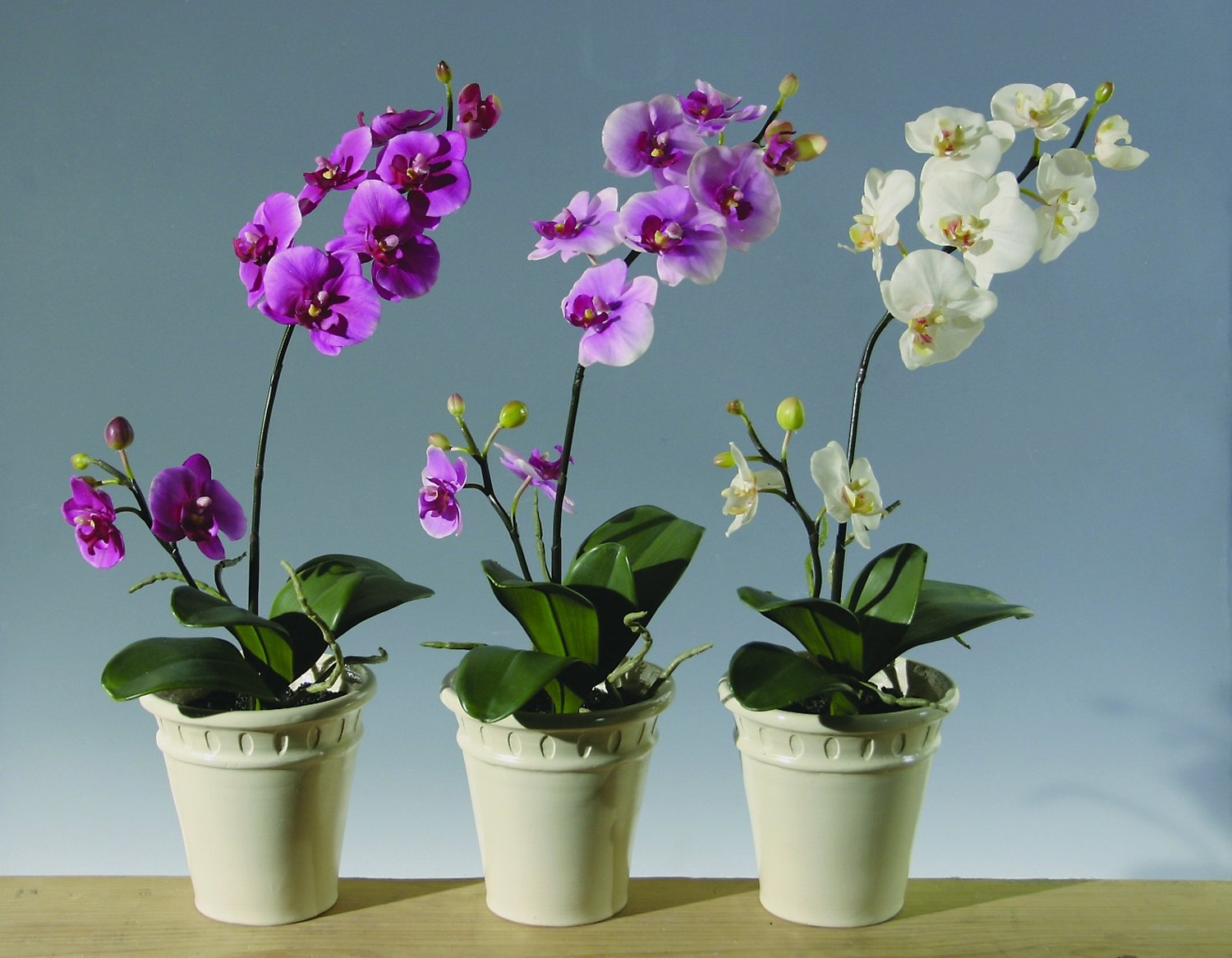 Künstliche Orchidee Phalaenopsis, getopft, 60 cm, Real Touch, hellviolett