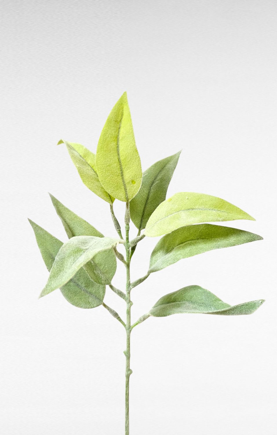 Künstlicher Wollziestzweig, 41 cm, grün-weiß