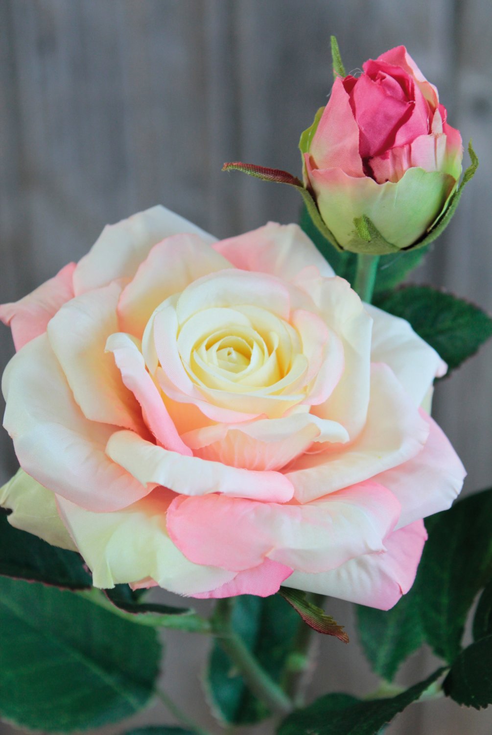 Artificial rose, 1 flower, 1 bud, 37 cm, real touch soft, beige-apricot