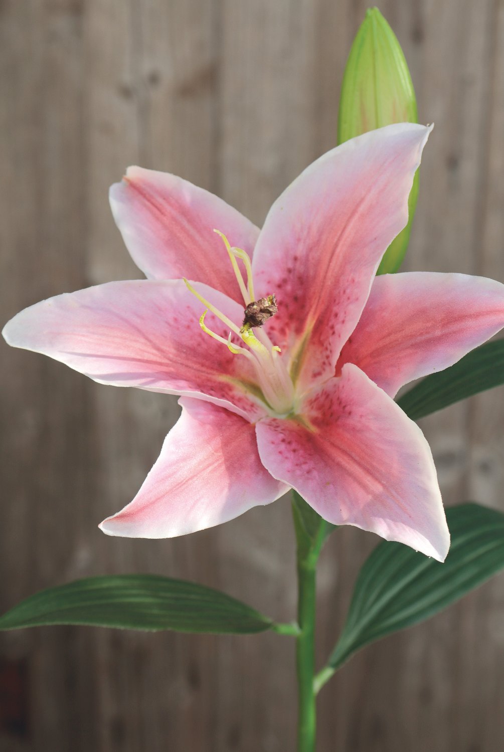 Künstliche Lilie, 45 cm, Real Touch, pink