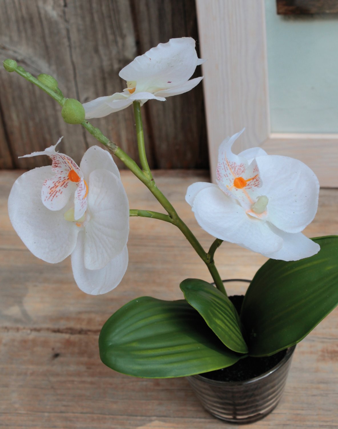 Künstliche Orchidee Phalaenopsis in Glasgefäß, 24 cm, creme-weiß