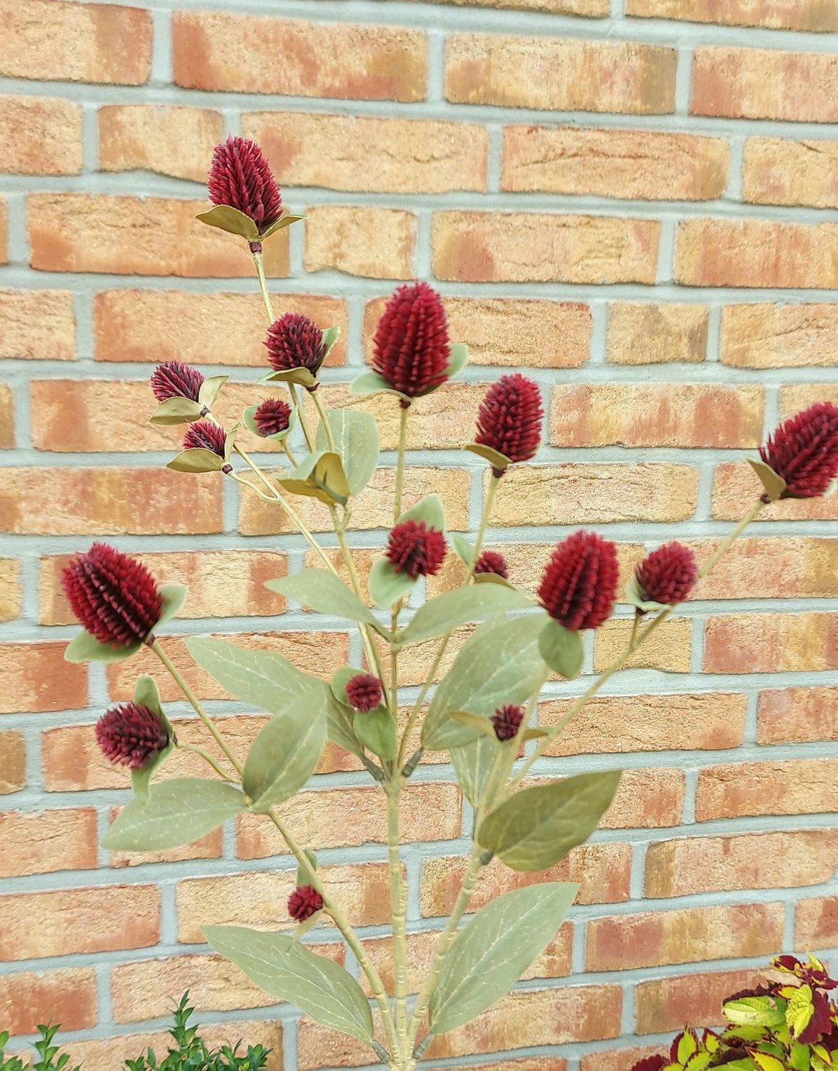 Künsticher Wiesenknopf "Vintage", 69 cm, burgunderrot