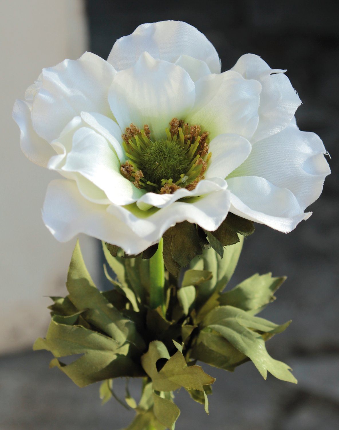 Künstliche Anemone, 35 cm, creme-weiß