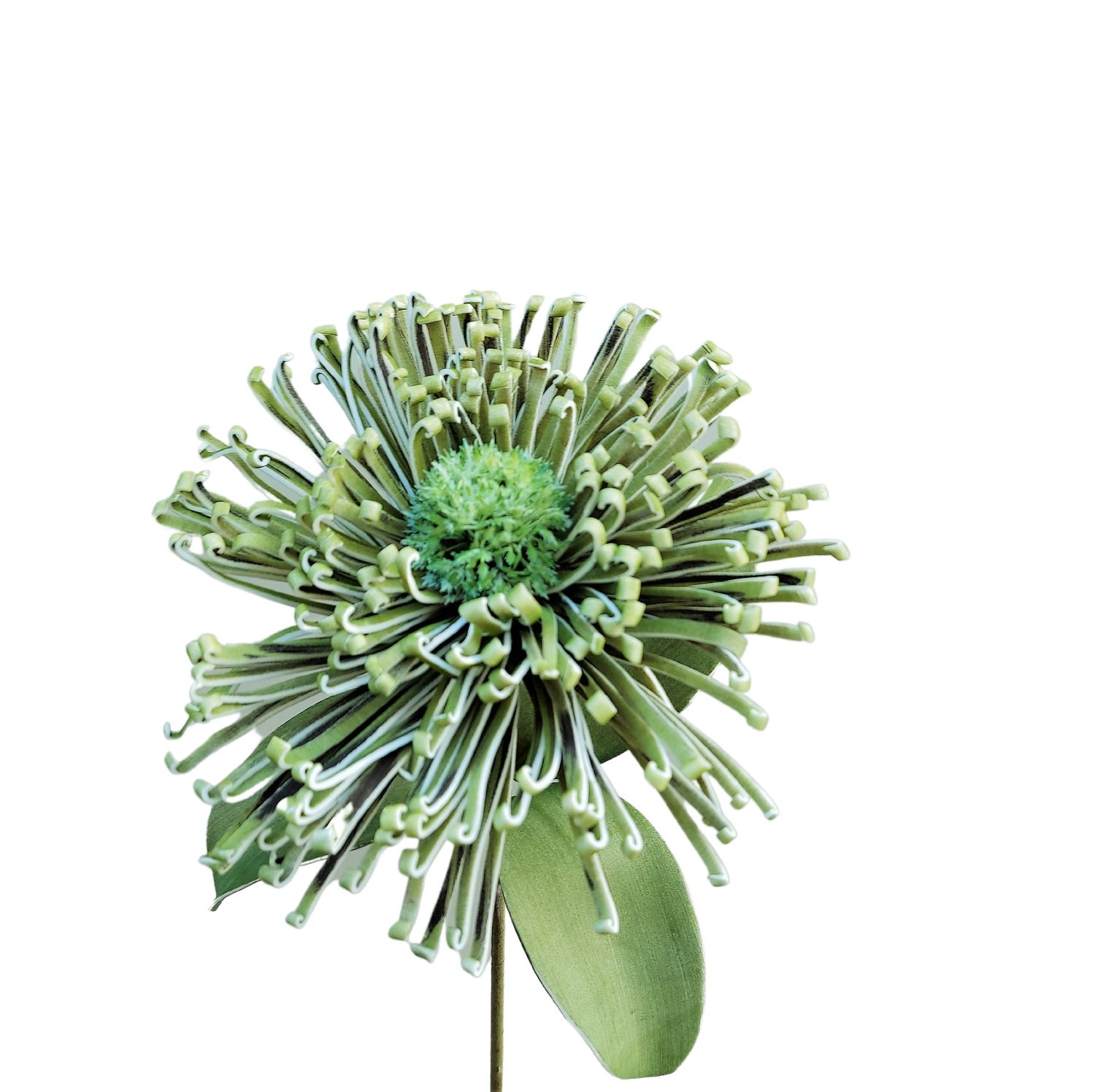 Deko Soft flower 'Nadelkissenprotea', 103 cm, grün-blau