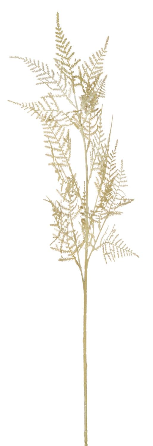 Kunstzweig Asparagus, 80cm