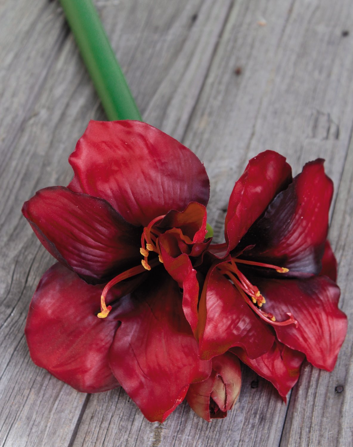 Künstliche Amaryllis, 45 cm, Real Touch, rot