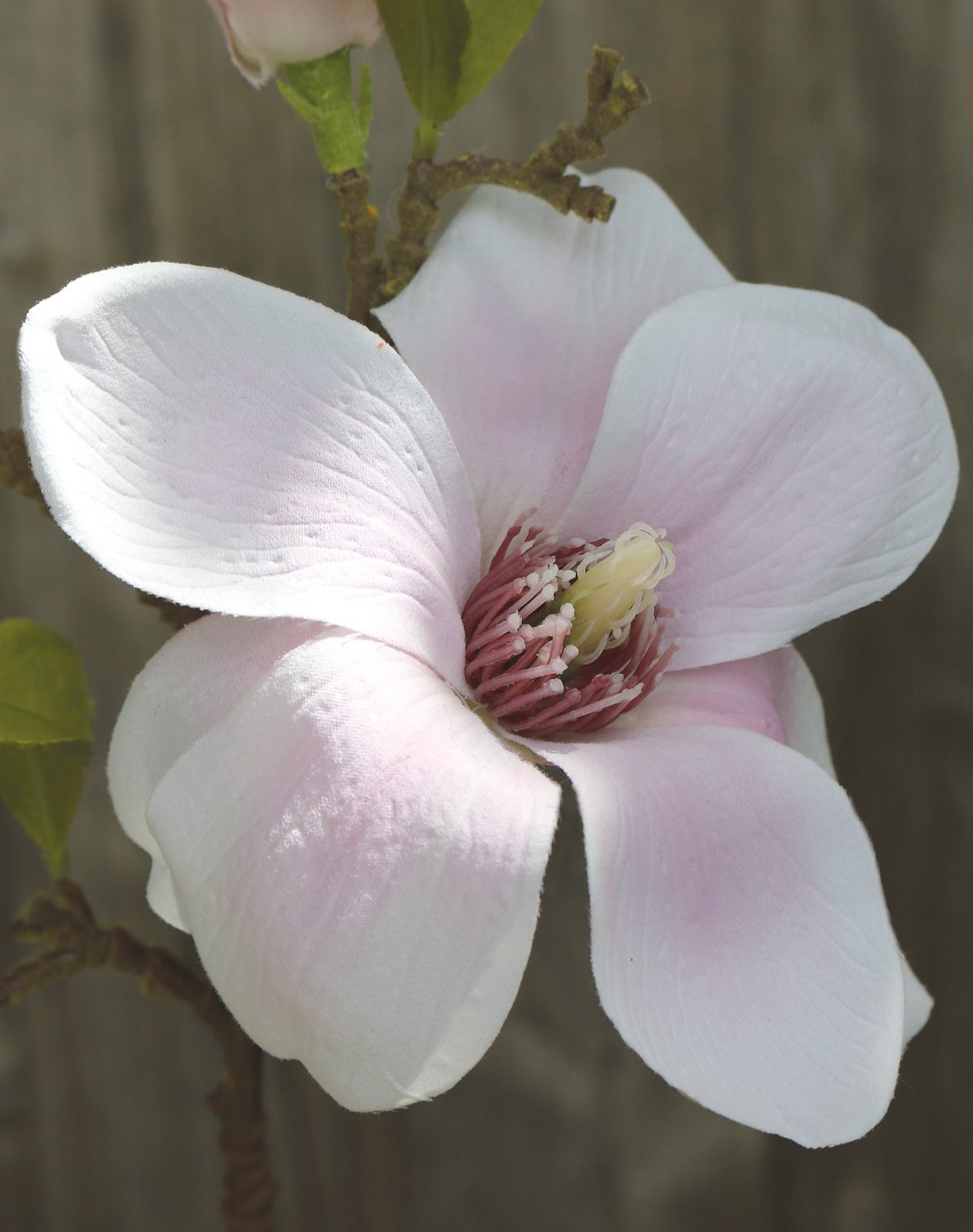 Fake magnolia blossom branch, 36 cm, white-pink