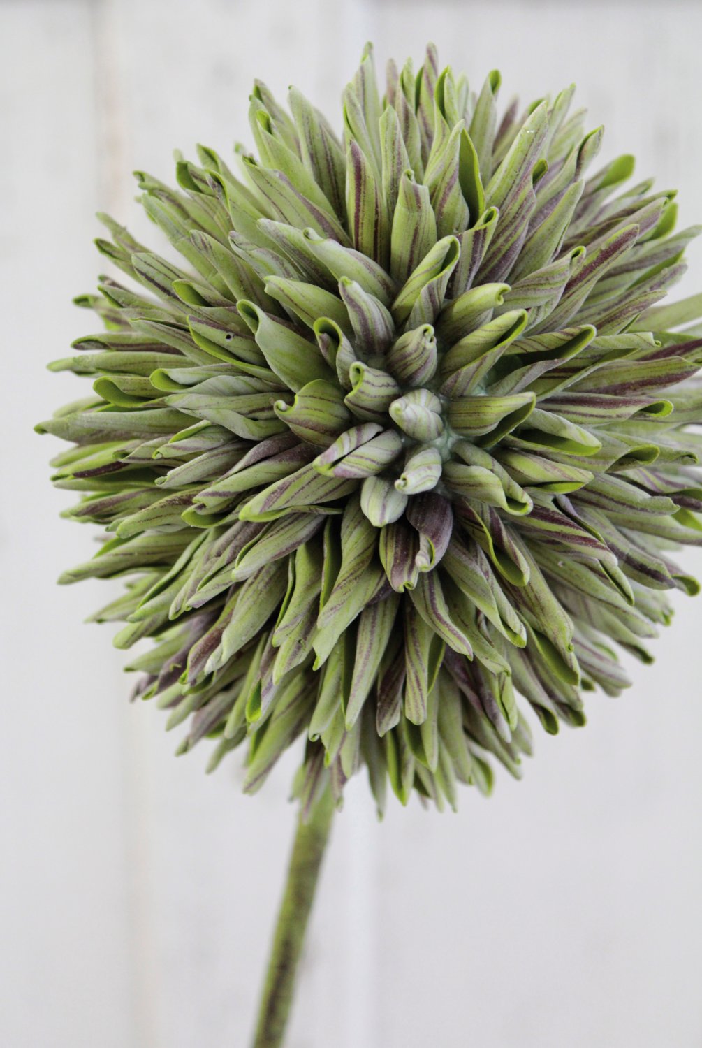 Künstlicher Soft flower 'Allium', 80 cm, grün