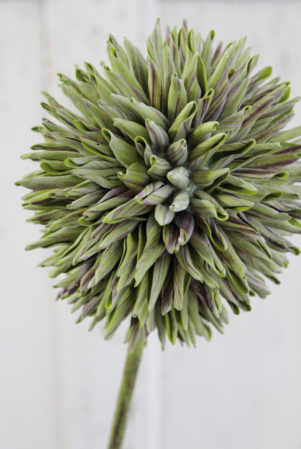 Artificial soft flower 'allium', 80 cm, green