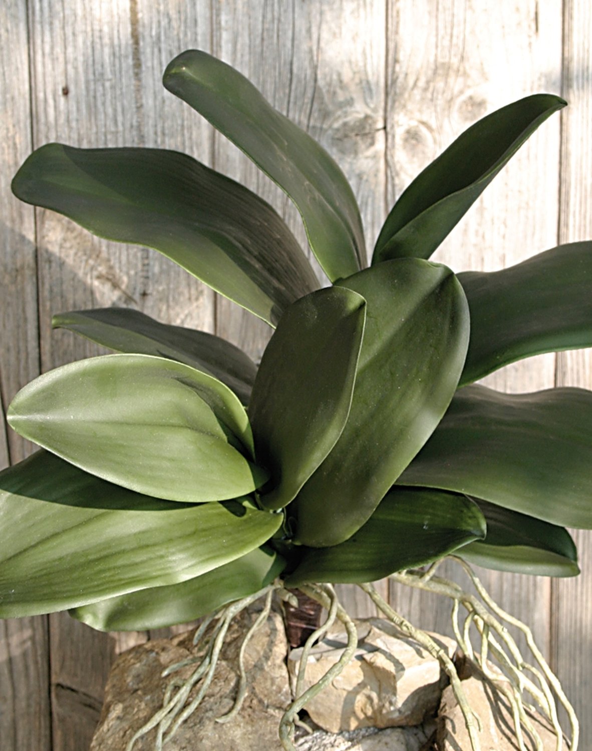 Imitation orchid plant with root, 13 leaves, 46 cm, green