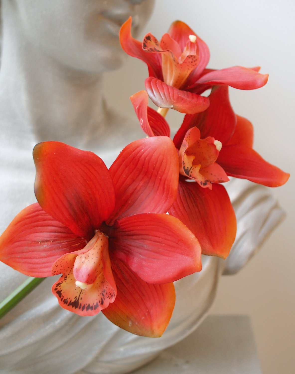 Künstliche Orchidee Cymbidium, 46 cm, Real Touch, dunkelorange