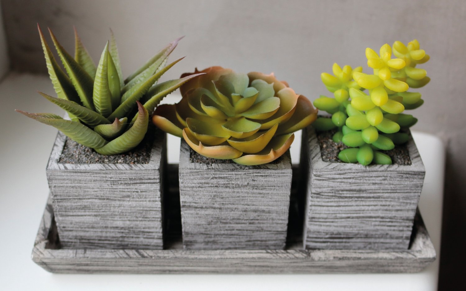 Plastic succulents-mix, 3 pieces on bowl, 19 x 7 x 11 cm, green