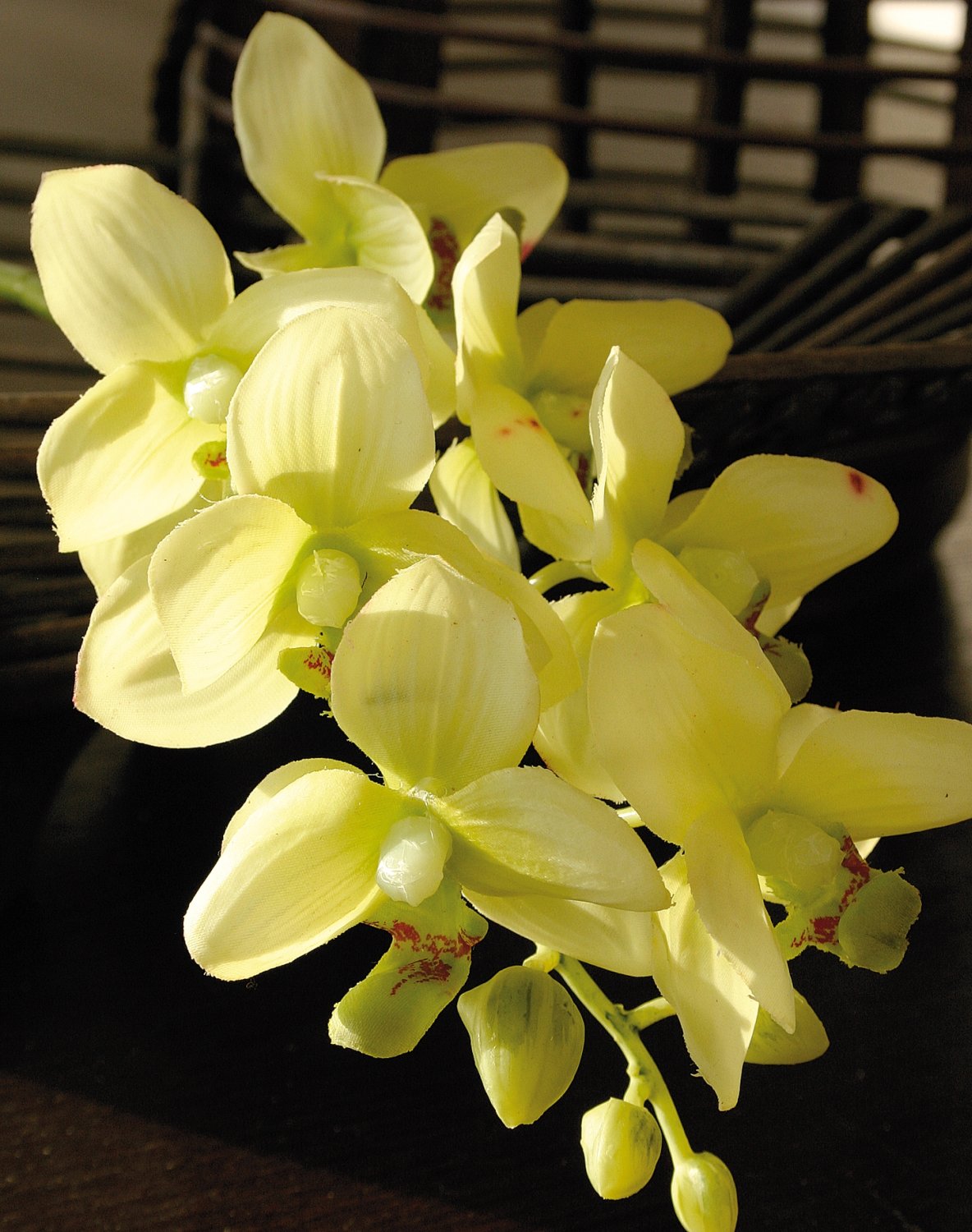 Ohmywor Künstliche Orchidee Orange Mit Topf – 48 Cm Hoch, Seidenblume Für Tischdekoration & Wohnung