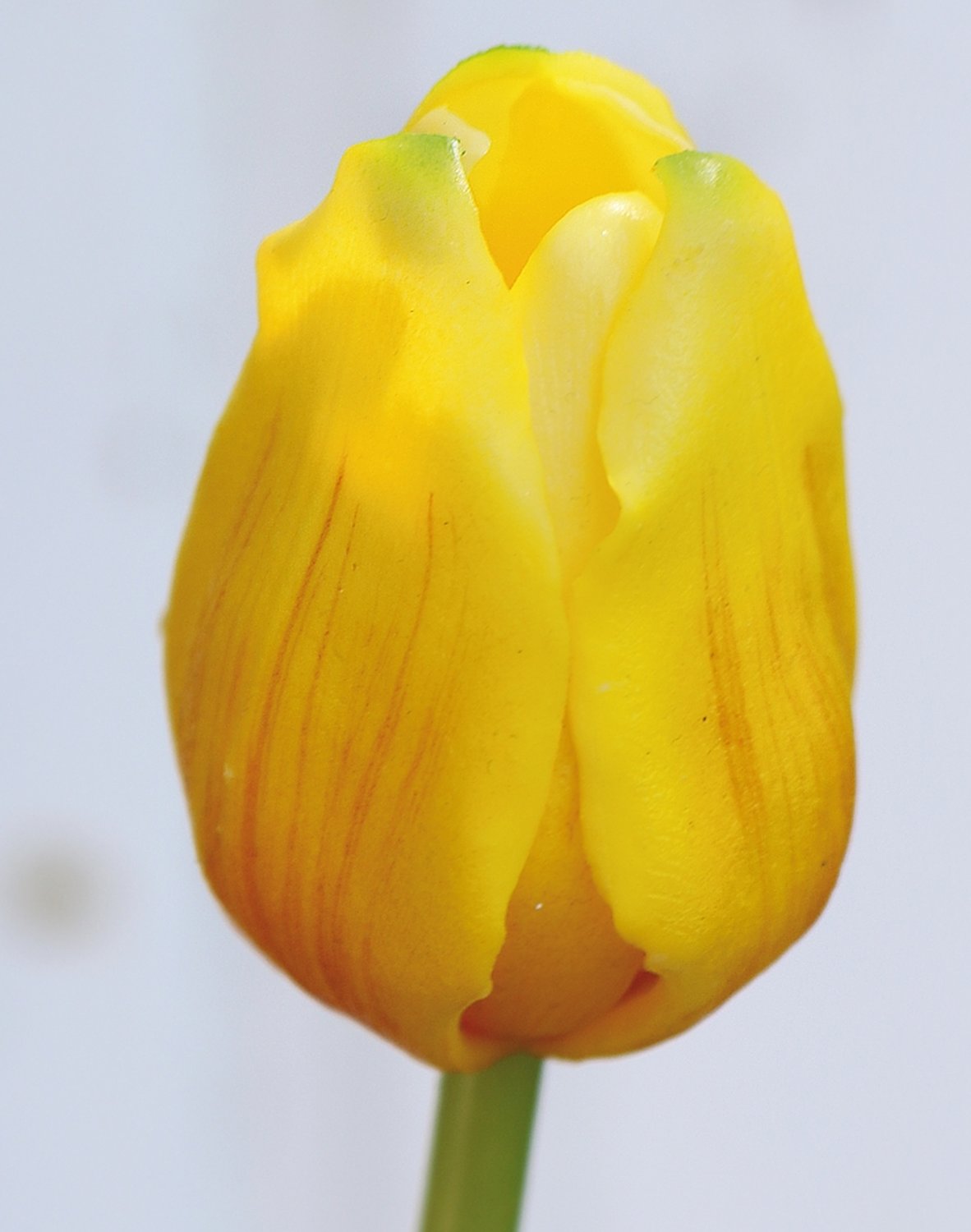 Künstliche Tulpe, französisch, 47 cm, Real Touch, gelb-orange