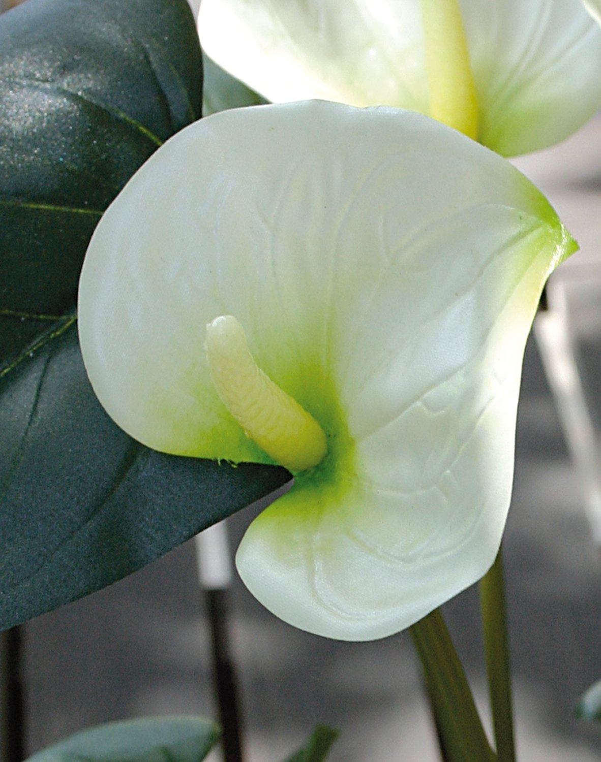 Künstliche Anthurium, getopft, 39 cm, weiß