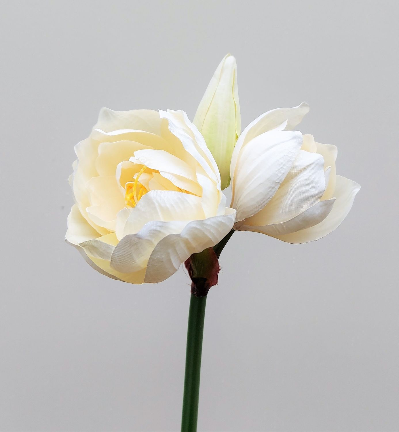 Künstliche Amaryllis, 81 cm, creme-gelb