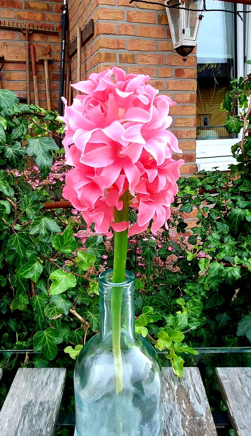 Deko Hyazinthe, 32 cm, rosa