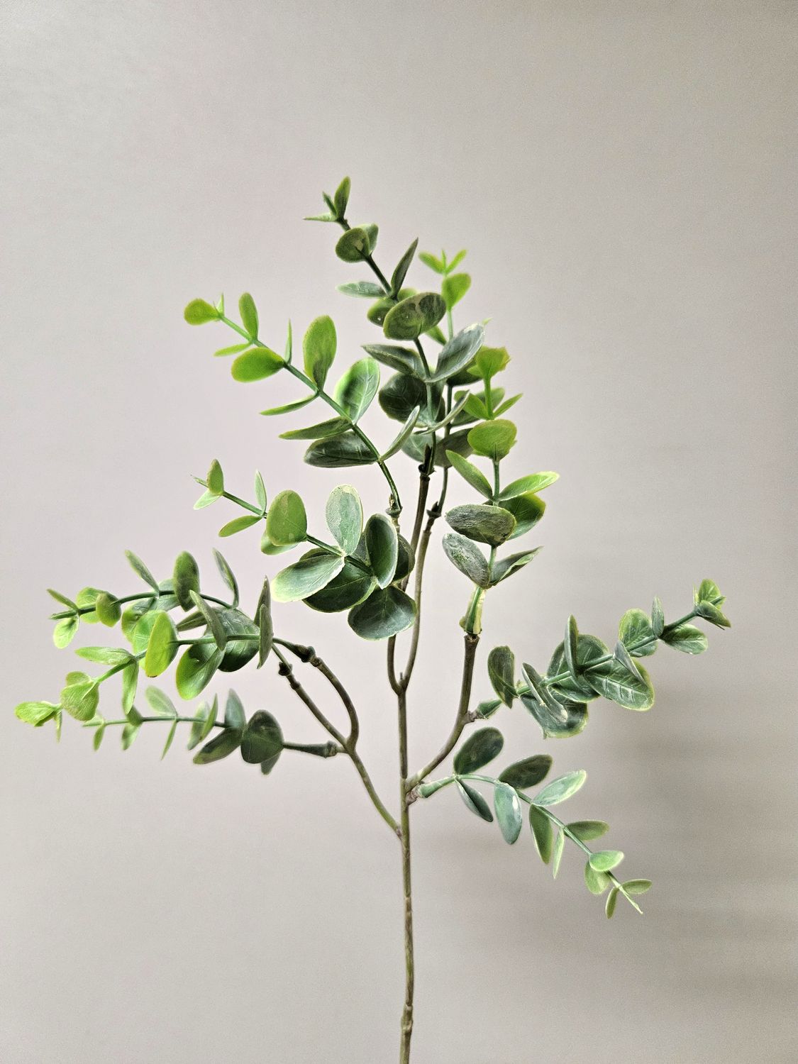 Kunstzweig Sedumlaub, 37 cm, grün-grau